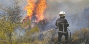 بجاية.. إخماد ستة حرائق خلال نهاية الأسبوع الفارط