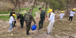 برج بوعريريج: غرس أكثر من 500 شجيرة من صنف الصنوبر بغابة بومرقد