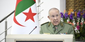 رئيس الجمهورية يسهر شخصيا على إيلاء المرأة ما تستحق من الرعاية والدعم والتحفيز