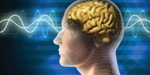 علماء يكشفون عن “بقعة زرقاء” موجودة في دماغنا