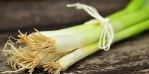 فوائد البصل الأخضر.. مذاق وفائدة