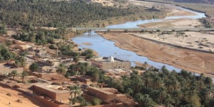 النظام البيئي لحوض مصب “وادي غير” ببشار في وضعية تنذر بالخطورة 