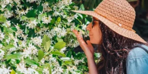 نحر الزهور…