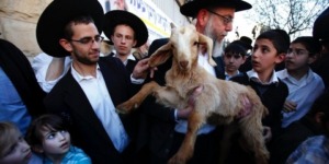 رئيس مكتب شؤون القدس بحركة حماس: دعوات ذبح القرابين بالأقصى إشعال للحرب الدينية