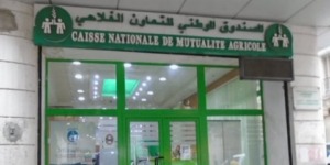 استحداث فرعين بنكيين للصندوق الوطني للتعاون الفلاحي ببرج منايل والرغاية