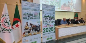 تيزي وزو تحتضن صالون تربية الأنعام ومنتجات الحليب في ماي القادم
