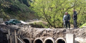 جيجل.. تهيئة 125 كلم من المسالك الغابية 