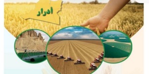 الصندوق الوطني للتعاون الفلاحي بأدرار ينظم لقاءا حول شعبة الحبوب 