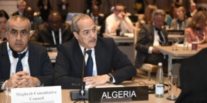 الجزائر تقود موقفا عربيا موحدا في طشقند رفضا للتطبيع ومساندة لفلسطين