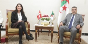 أوسهلة: الجزائر توفر مناخا استثماريا واعدا وتضع سيادتها الوطنية في صميم علاقاتها الدولية