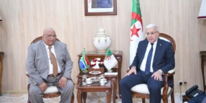 بوغالي يكشف عن التحضير لمنتدى برلمانات “عربي-إفريقي-لاتيني” لتفعيل العلاقات الاقتصادية بين القارات الثلاث