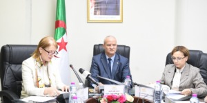 مداحي: نسعى إلى بناء اقتصاد سياحي متنوع يخلق فرص عمل ويعزز التنمية خارج المحروقات