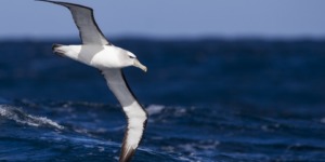 قدرة الله في الخلق