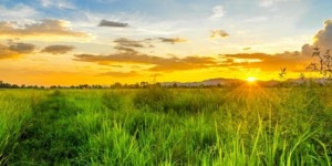 الَّذِي جَعَلَ لَكُمُ الْأَرْضَ فِرَاشًا