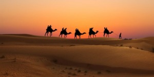 أرض العرب الخضراء