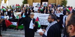 في رسالة لالخنوش: محامون مغاربة يطالبون برفض رسو سفن الإبادة الصهيونية بموانئ المملكة