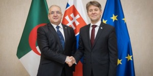 انعقاد أشغال الدورة الثانية للمشاورات السياسية الجزائرية-السلوفاكية ببراتيسلافا