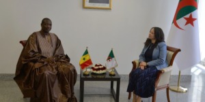 الجزائر تعزز علاقاتها الإفريقية والدولية عبر زيارات مجاملة مع سفراء معتمدين