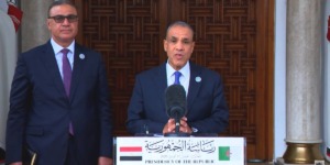 وزير الخارجية المصري يشيد بالدور الهام للجزائر في دعم القضايا العربية بمجلس الأمن