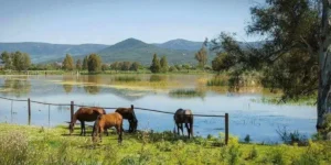 راقدي: الحظيرة الوطنية للقالة تسير نحو التصنيف ضمن قائمة التراث العالمي