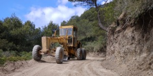 سطيف.. فتح 39 كلم من المسالك الغابية