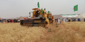  نحو استلام ثلاث منشآت لتخزين الحبوب بتوقرت 