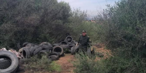 البليدة.. استرجاع نحو 300 عجلة مطاطية مستعملة من الوسط الغابي