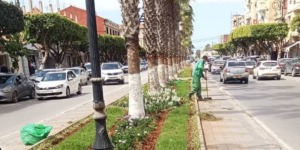 تقييم الوضعية البيئية و اتخاذ الاحتياطات الخاصة بالتقلبات الجوية بالرويبة 