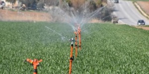 معسكر.. 2 مليون متر مكعب إضافية لسقي محيط سهل “الهبرة”