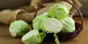 الملفوف.. صديق المعدة وحاميها