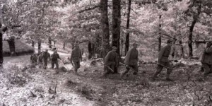 معركة وادي زقار.. من أهم معارك الشمال القسنطيني