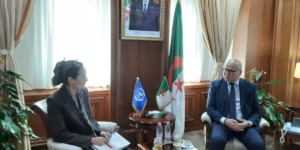 نحو نموذج طاقوي نظيف.. الجزائر تعزز تعاونها مع برنامج الأمم المتحدة الإنمائي