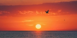 أَفَلَا يَرَوْنَ أَنَّا نَأْتِي الْأَرْضَ نَنْقُصُهَا مِنْ أَطْرَافِهَا