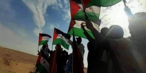 اللجنة الدولية لحماية الصحفيين تدين الحصار الإعلامي المفروض على الصحراء الغربية