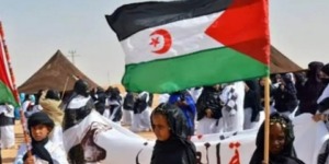 منتدى الشباب الأوروبي يؤكد دعمه للشعب الصحراوي