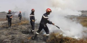 البيض.. مناورة إفتراضية للتصدي لحرائق الغابات و المحاصيل الزراعية