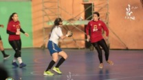 البطولة الوطنية الممتازة لكرة اليد (سيدات): الكشف عن برنامج المنافسة إلى غاية نهاية الموسم