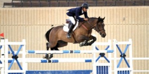 رياضة الفروسية.. 15 مصمم مسلك لقفز الحواجز في تربص العاصمة