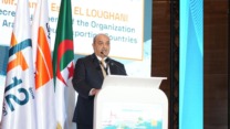 المنظمة العربية للطاقة تشيد باستراتيجية الجزائر في الغاز والهيدروجين الأخضر