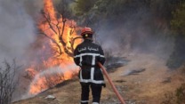 تواصل عملية إخماد حرائق نشبت بولايات البليدة و المدية و تيزي وز