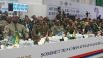 مشاركة وفد من وزارة الدفاع الصحراوية في قمة رؤساء الأركان الأفارقة
