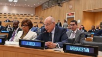 الجزائر تطالب بتمثيل عادل للدول النامية في المؤسّسات الدولية