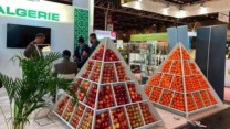 الجزائر تبرز جودة منتجاتها الفلاحية في مدريد