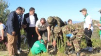 غرس مليون شتلة في ربوع الجزائر: بداية قوية وتجنّد واسع 