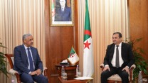 البنك الإفريقي للتنمية مستعد لمرافقة الجزائر في تمويل مشاريعها الاستراتيجية