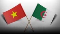 الجزائر- فيتنام: عدة اتفاقات قيد التحضير بغية بعث الشراكة الثنائية
