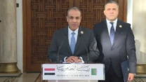 وزير الخارجية المصري يشيد بدور الجزائر ودعمها المتواصل للعمل العربي والافريقي المشترك