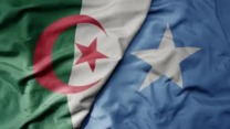 الجزائر-الصومال: إرادة سياسية قوية لإضفاء ديناميكية جديدة على علاقات التعاون الثنائي