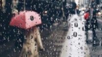 صورة معبرة عن ” كارما”…