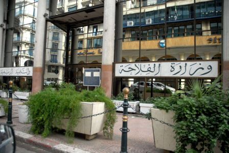 وزارة الفلاحة ترد على تقارير روسية… هذه حقيقة استيراد اللحوم الحمراء والألبان من روسيا